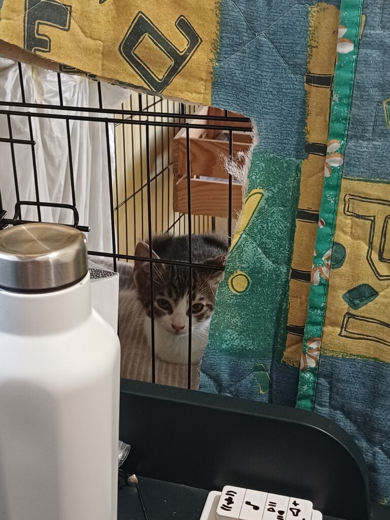 ADOPTED